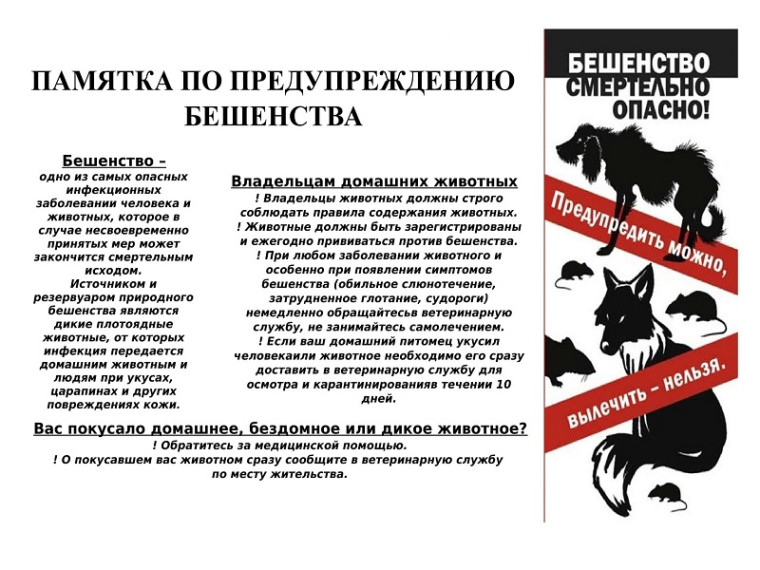 Памятка по предупреждению бешенства.