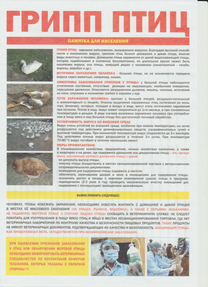 Грипп птиц. Памятка для населения.. Грипп птиц. Памятка для населения..