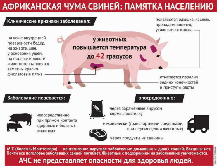 Памятка населению. Памятка населению.